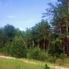 Лес
